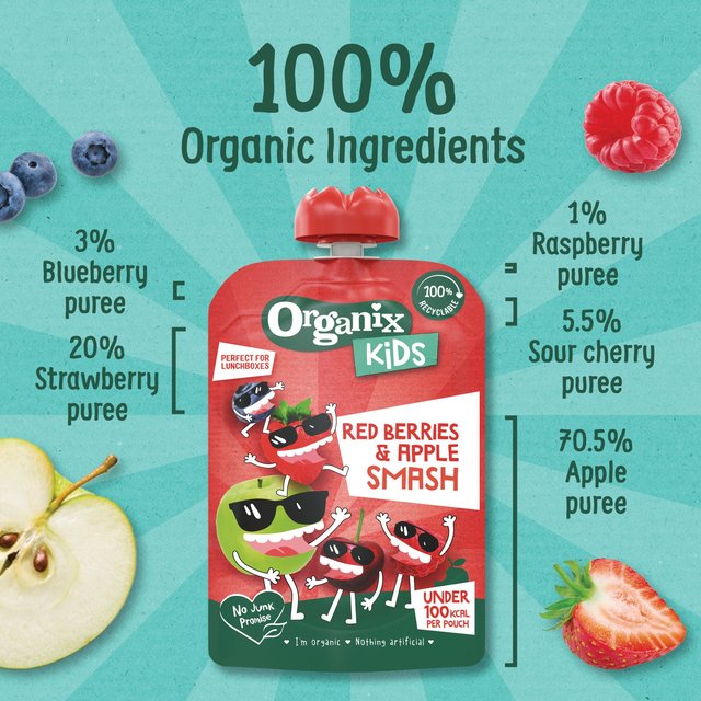 Organix KIDS Red Berries & Apple Smash Pouch    100g GOODS M&S   