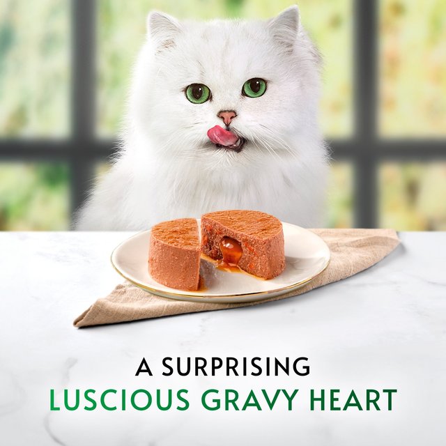 Gourmet Nature's Creations Gravy Heart Chicken Ocean Fish Wet Cat Food   8 x 85g GOODS M&S   