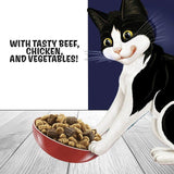 Felix Doubly Delicious Beef Chicken & Vegetables Dry Cat Food   2kg GOODS M&S   