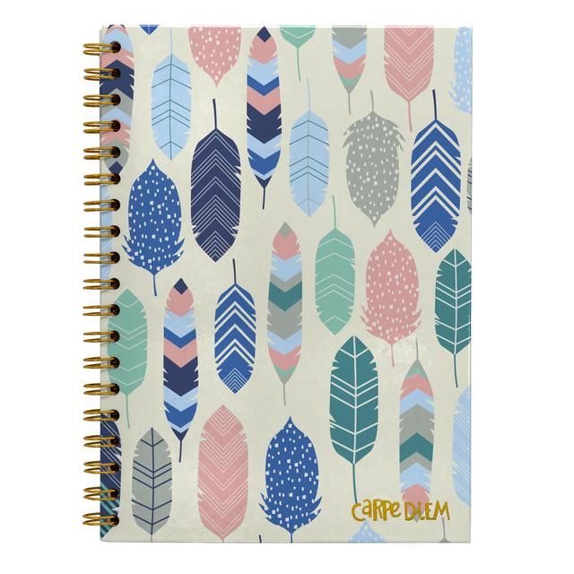 Pukka Pad - Carpe Diem B5 Spiral Hardcover Notebook Feathers GOODS M&S   