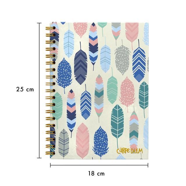 Pukka Pad - Carpe Diem B5 Spiral Hardcover Notebook Feathers GOODS M&S   