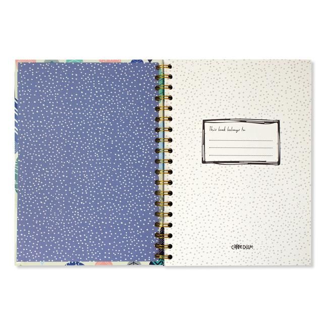 Pukka Pad - Carpe Diem B5 Spiral Hardcover Notebook Feathers GOODS M&S   