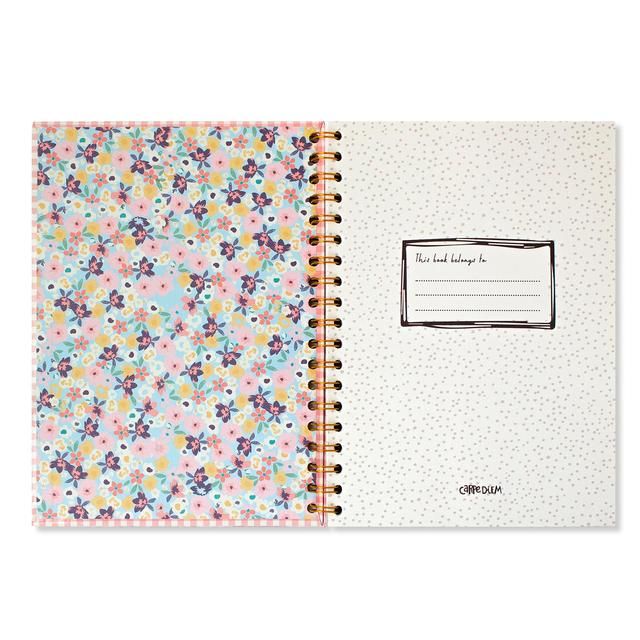 Pukka Pad - Carpe Diem B5 Spiral Hardcover Notebook Pink Check GOODS M&S   