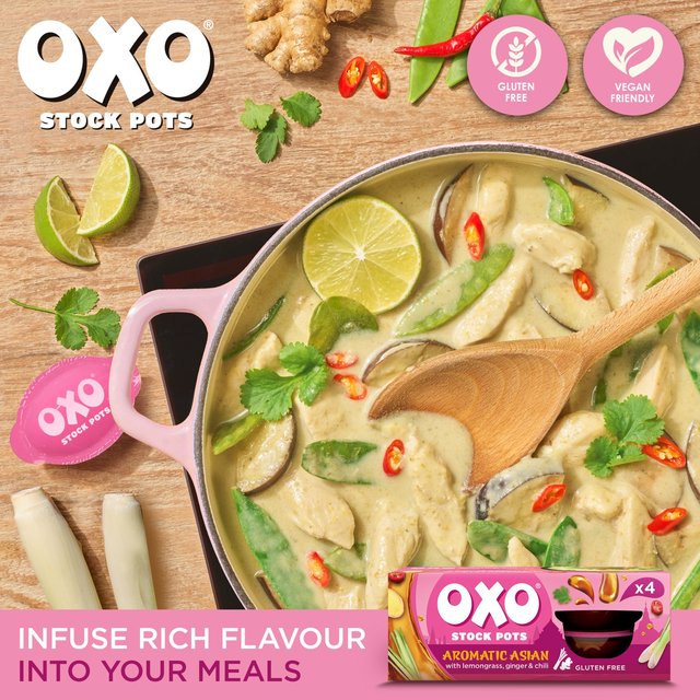 Oxo Aromatic Asian Stock Pots   4 x 20g GOODS M&S   