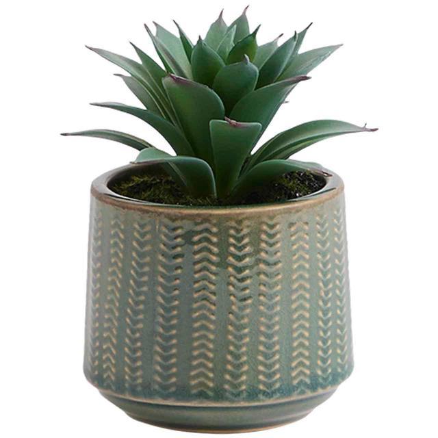 M&S Moss & Sweetpea Artificial Mini Succulent in Ceramic Pot Mint GOODS M&S   