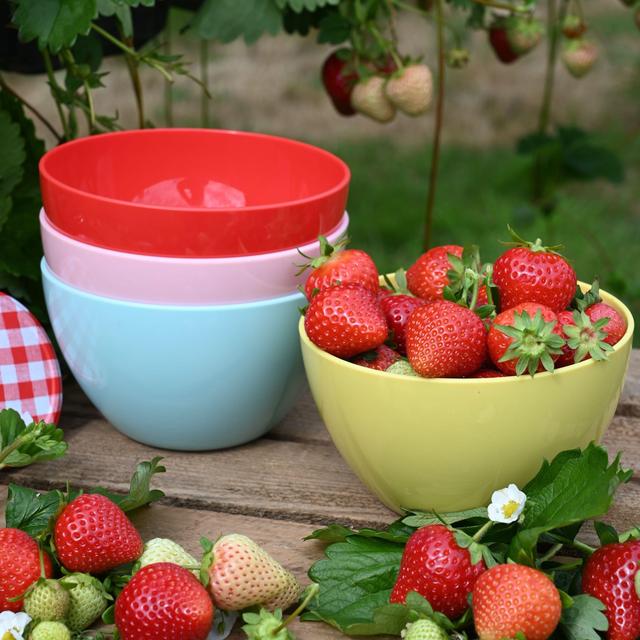 Summerhouse Strawberries & Cream Set of 4 Reusable Bowls    4 per pack GOODS M&S   