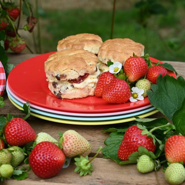 Summerhouse Strawberries & Cream Set of 4 Reusable Plates    4 per pack GOODS M&S   