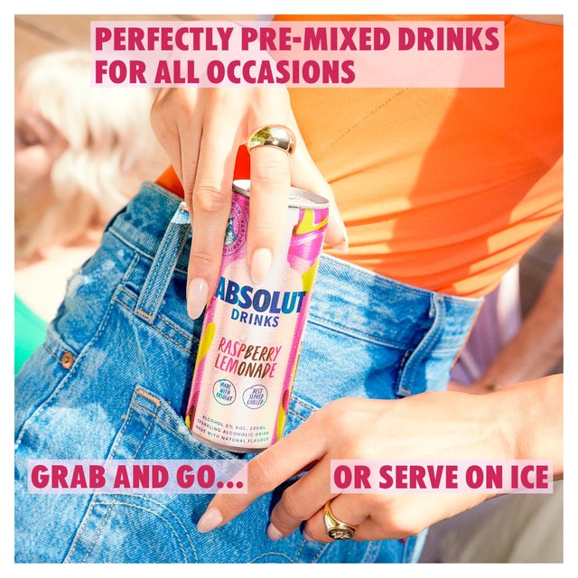 Absolut Raspberry Lemonade Pre-Mixed Drink   250ml GOODS M&S   