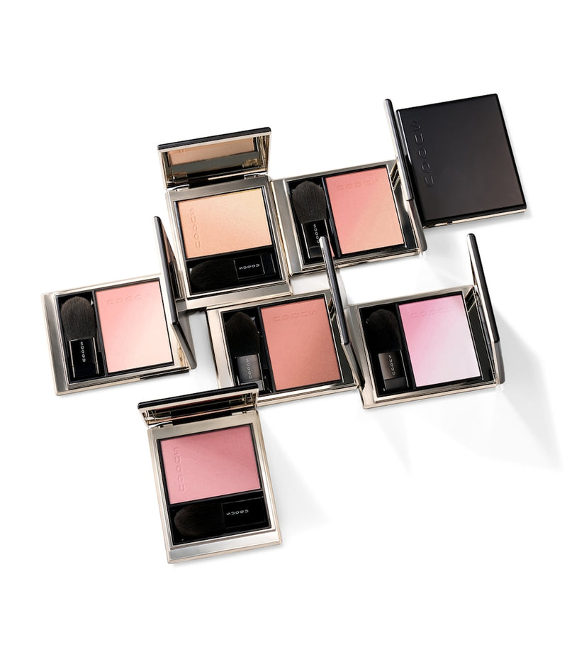 SUQQU blurring color blush powder with applicator brush 6.4g - British product