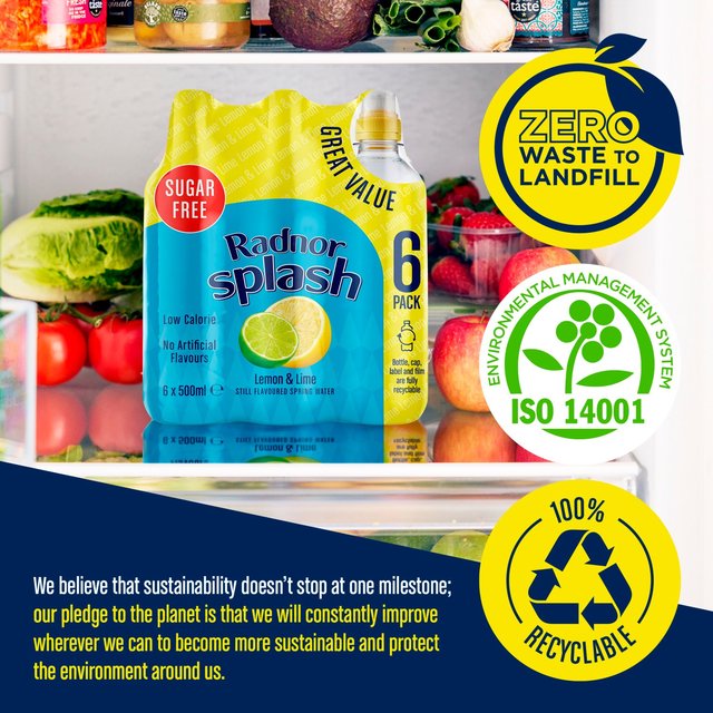 Radnor Splash Lemon & Lime Flavoured Water   6 x 500ml GOODS M&S   