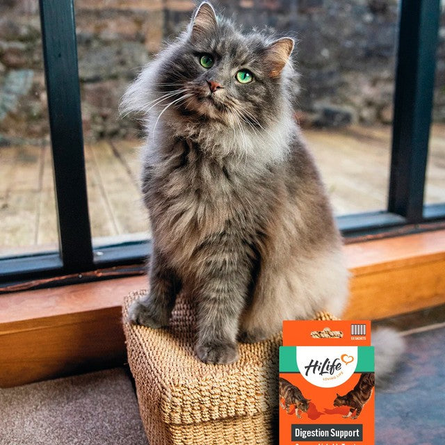 HiLife cat digestive licks treat, UK version
