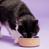 Mason Cash Cane/Blue Lettered cat bowl 13cm, imported from the UK