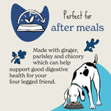 Forthglade Digestive Health Soft Bite Dog Treats 90g - British product
