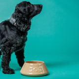 Mason Cash lettered dog bowl 21cm, imported from the UK