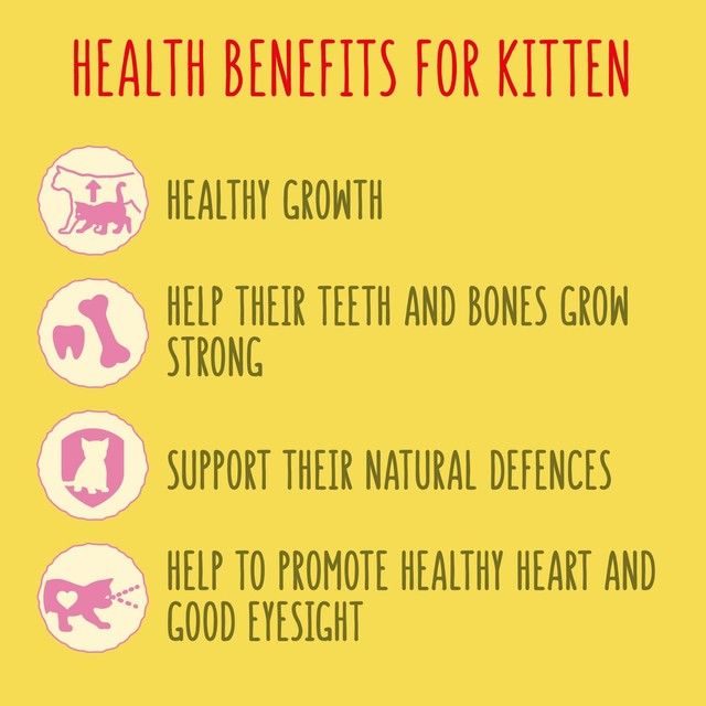 Go-Cat kitten dry cat food chicken turkey and milk 750g, UK version