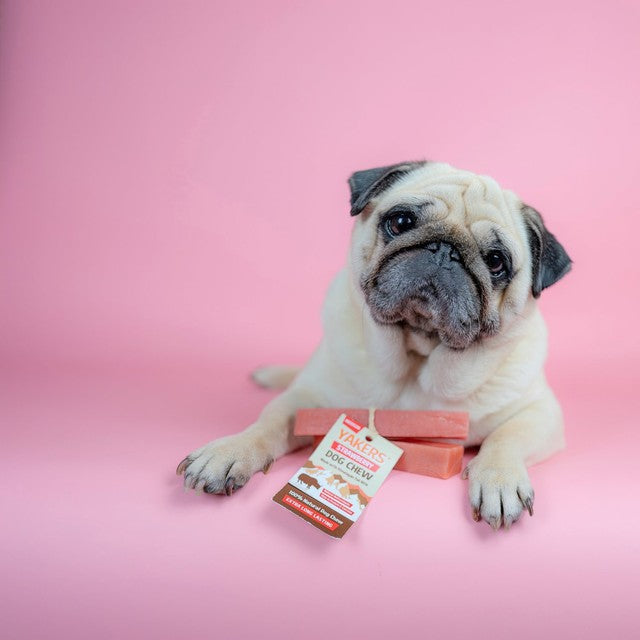 Yakers strawberry medium dog chew, UK version