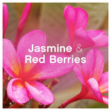 Lenor fabric conditioner Jasmine & Red Berries 2574ml, UK version