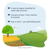 HiPP Organic Summer Berry Multigrain Porridge 200g, UK version