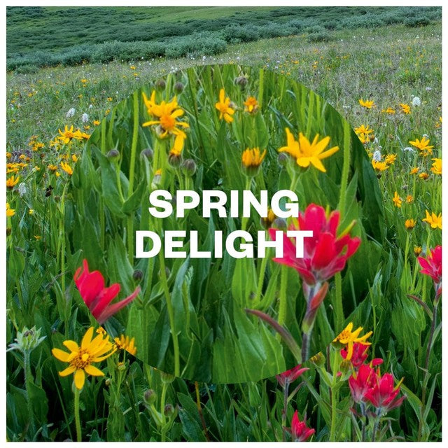 Airwick air freshener Spring Delight 250ml - British product