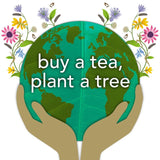 Pukka Herbs Elderberry and Echinacea fruit tea 20 compostable tea bags, imported from the UK