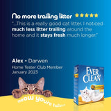 Ever Clean Litterfree Paws cat litter 10L - British product