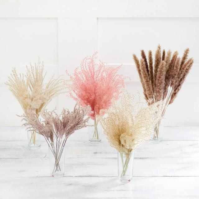 Dried Flowers Long Lasting