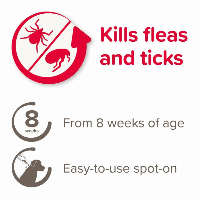 Beaphar FIPROtec spot-on flea treatment for large dogs, imported from the UK