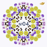 Dove No4 Violet and Tonka Bean refillable antiperspirant kit, imported from the UK