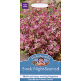 Mr Fothergill's Seeds Stock Nachtduftende Samen, importiert aus dem Vereinigten Königreich