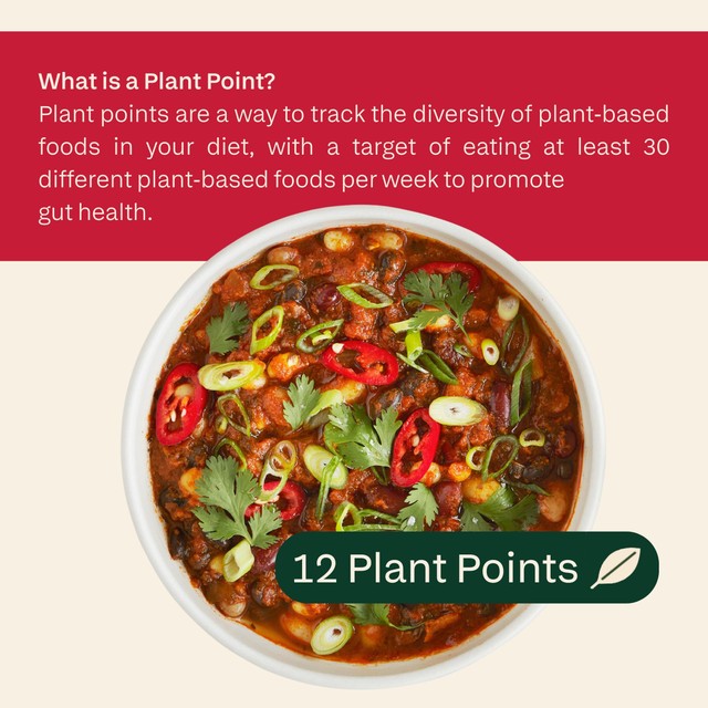 all plants Spicy Five Bean Chilli 300g - British product