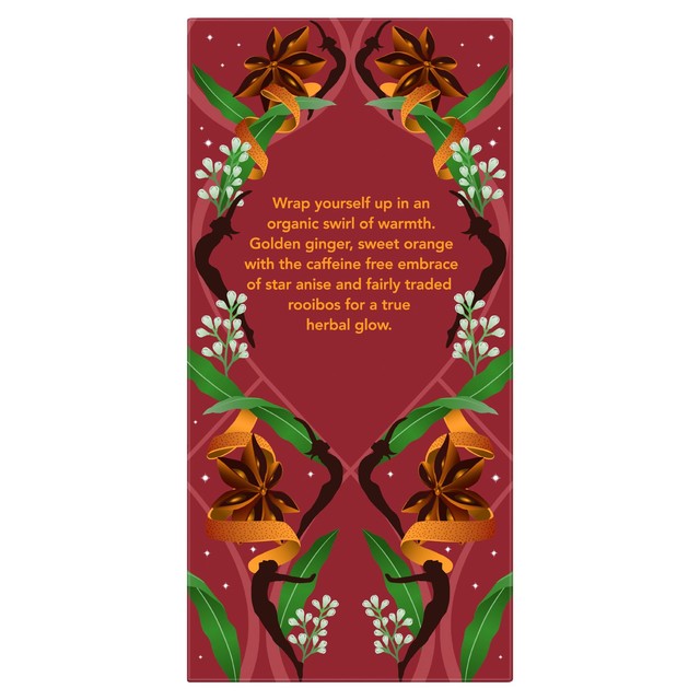 Pukka Herbs Winter Warmer herbal tea 20 teabags, imported from the UK