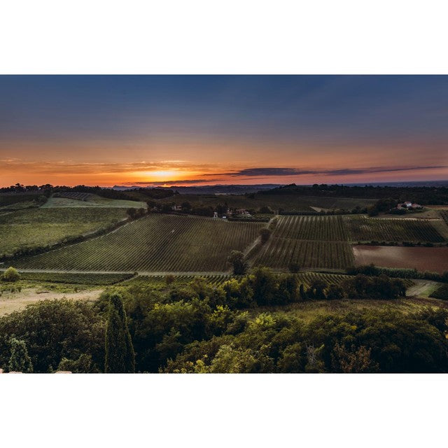 Bricchetto Pinot Grigio Rosé 75cl - British product