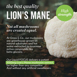 Grass & Co. Liquid Focus nootropic drink - British product