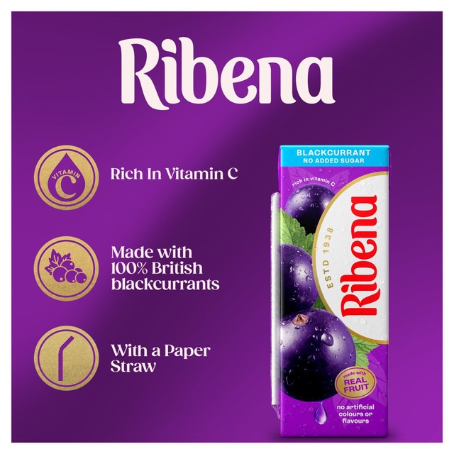 Ribena blackcurrant no added sugar juice carton (British brand)