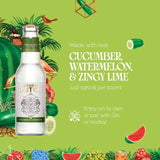 Double Dutch Cucumber & Watermelon mixer 4 x 200ml - British product