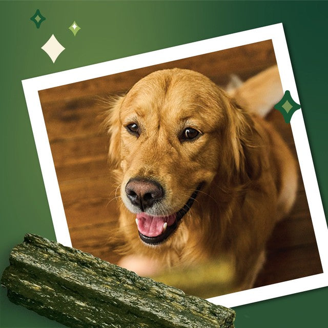 Lily's Kitchen Woofbrush Gut Health dog dental treats 7x47g, UK version
