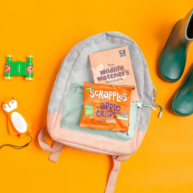 Scrapples Apple & Mango Fruit Crisps 12g (British brand)