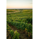Louis Jadot Macon Blanc Villages, Grange Magnien white wine 75cl, UK version