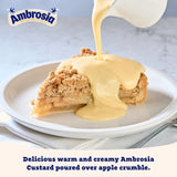 Ambrosia Devon custard 1kg - British product