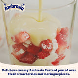 Ambrosia Devon custard 1kg - British product