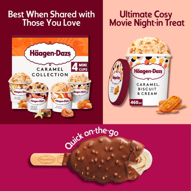 Häagen-Dazs caramel biscuit and cream ice cream 460ml, UK version
