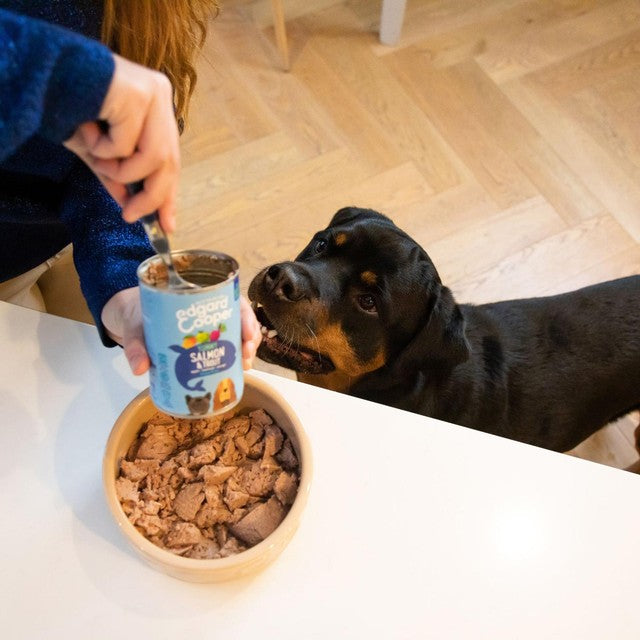 Edgard & Cooper adult grain free wet dog food with beef 400g - British product