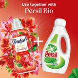 Comfort fabric conditioner Strawberry and Lily 48 washes - British product