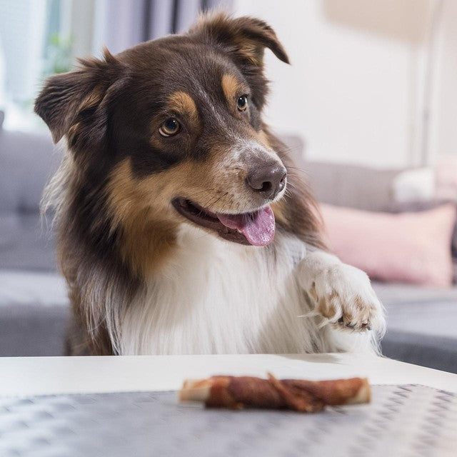 SmartBones chicken wrapped sticks dog treats 5 pack (British brand)