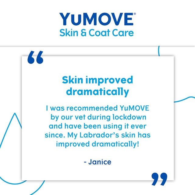 Lintbells YuMOVE Boost dog supplement 91.5g (British brand)