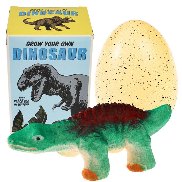 Rex London giant hatching dinosaur egg toy, imported from the UK