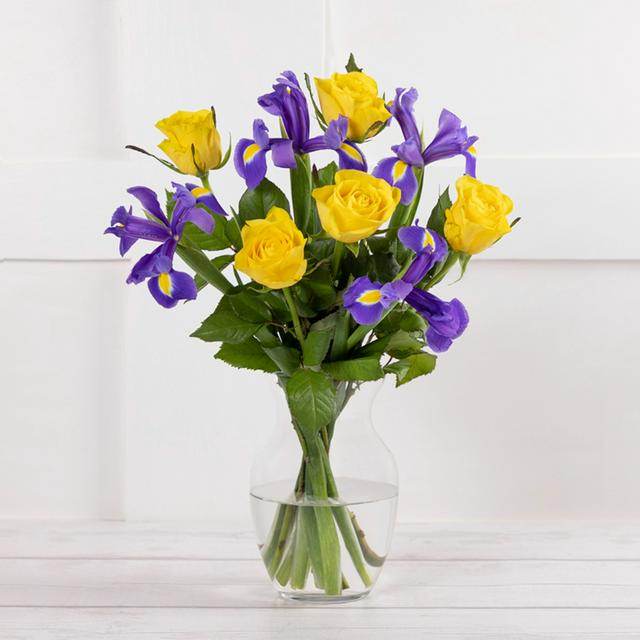 Rose  Iris