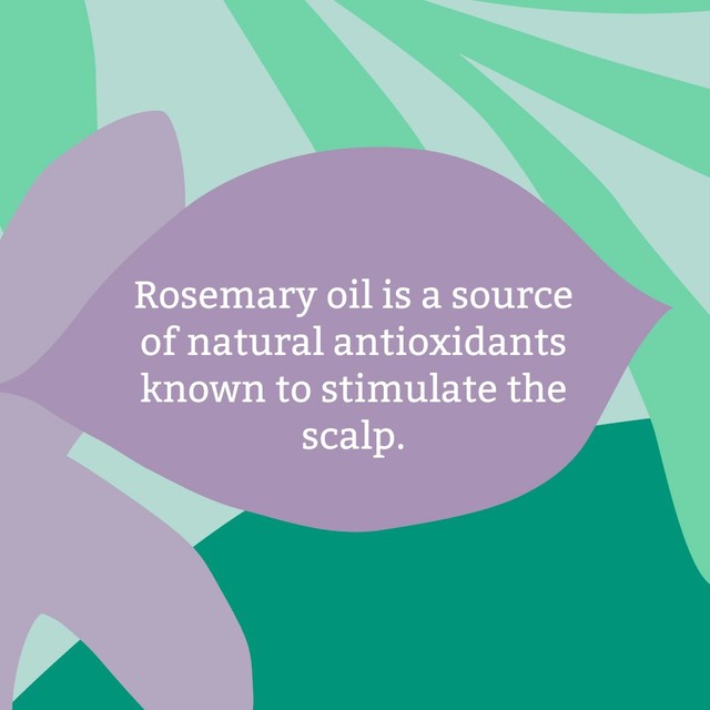 Faith In Nature rosemary shampoo 1L - British product