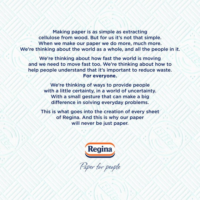 Regina Blitz kitchen roll with 100 supersized sheets, imported from the UK