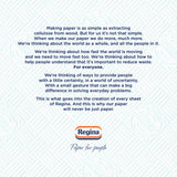 Regina Blitz kitchen roll with 100 supersized sheets, imported from the UK